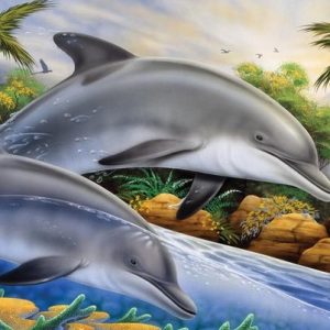Schilderen op nummer dolfijnen